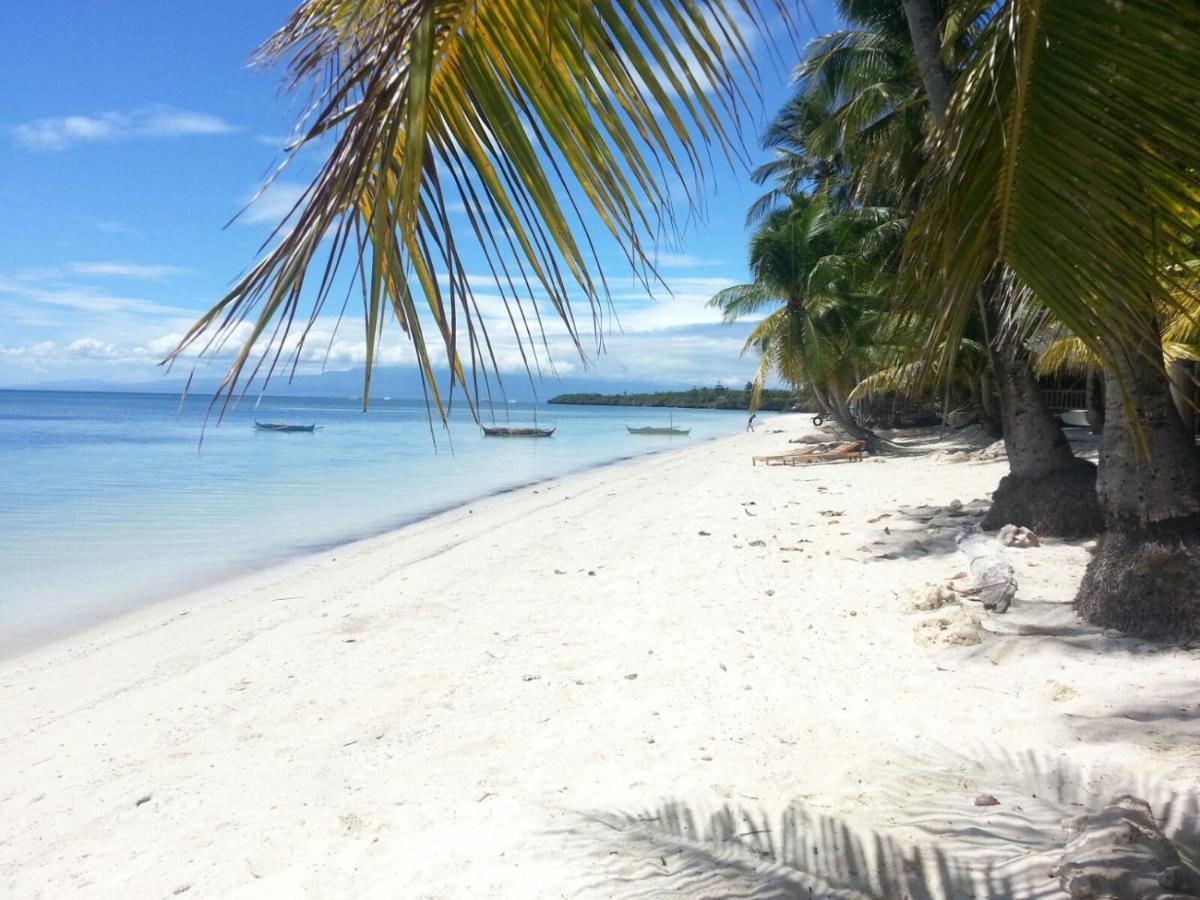 Apo Diver 3* San Juan (Siquijor)